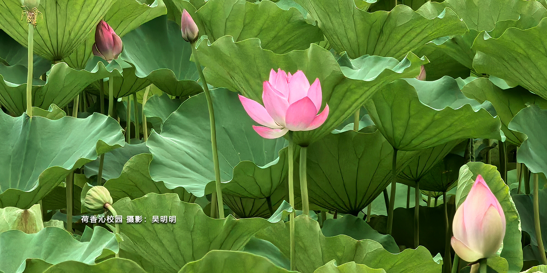 (另开新窗口)
