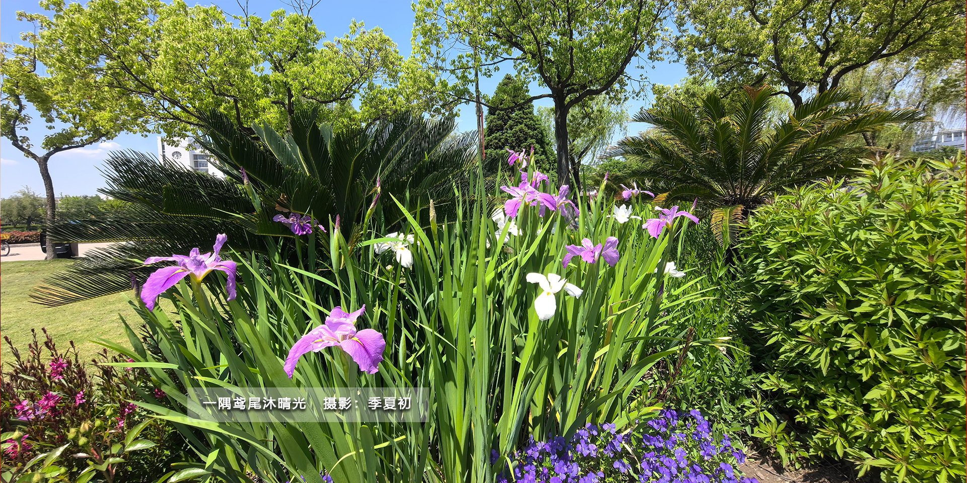 (另开新窗口)