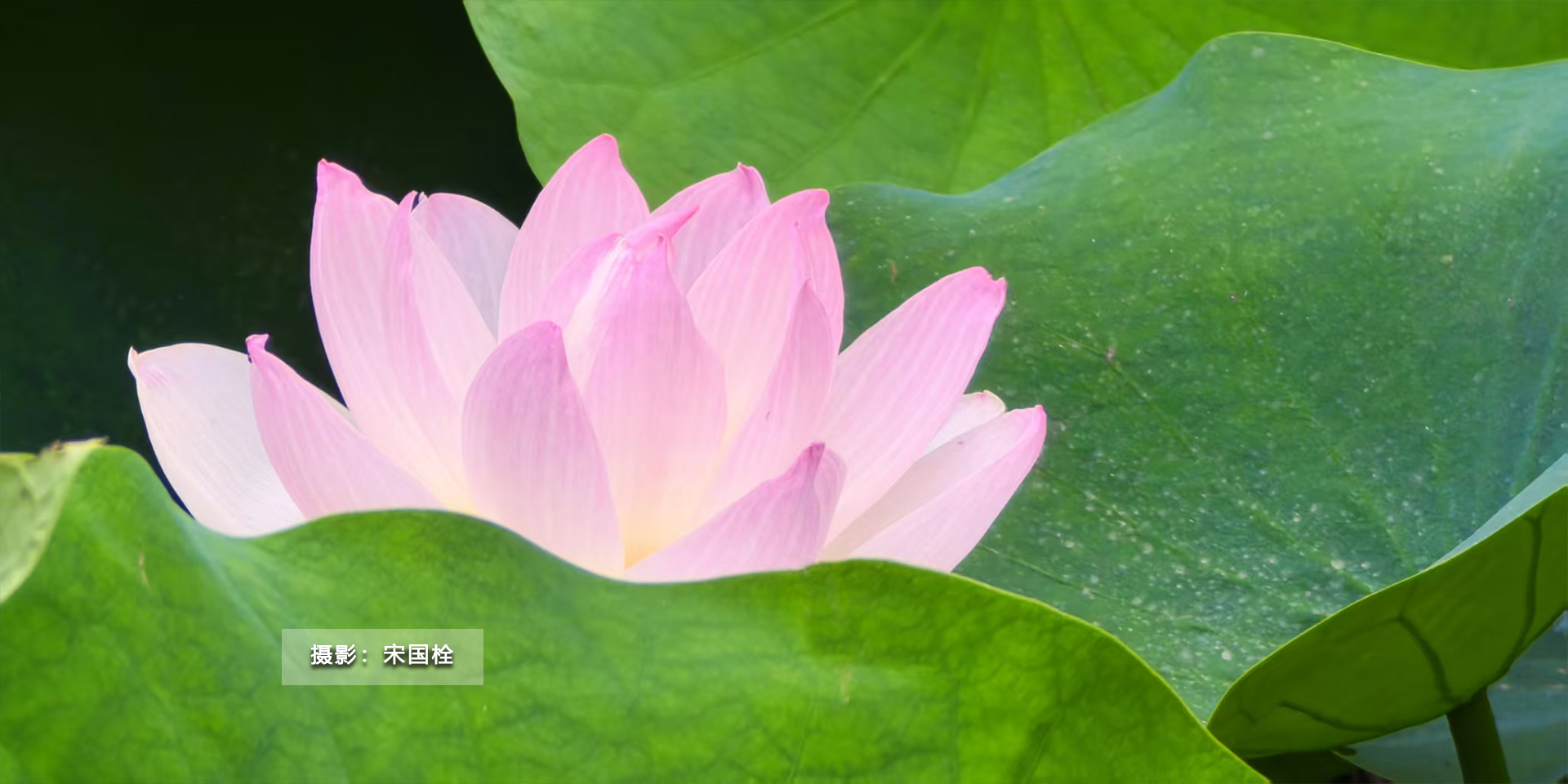 (另开新窗口)