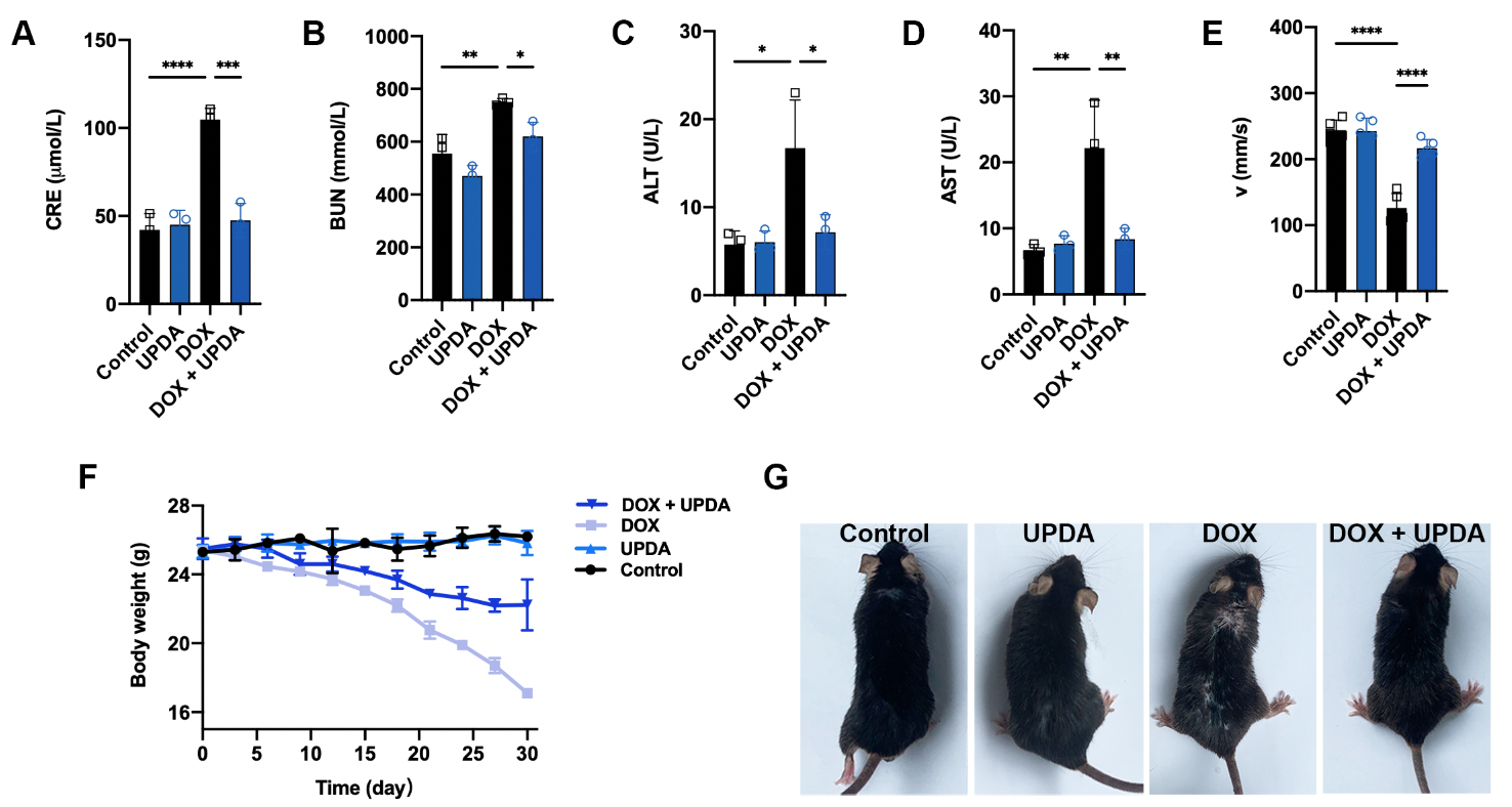 上海大学生命科学学院赵春华教授团队在Materials Today Bio发表论文上海大学